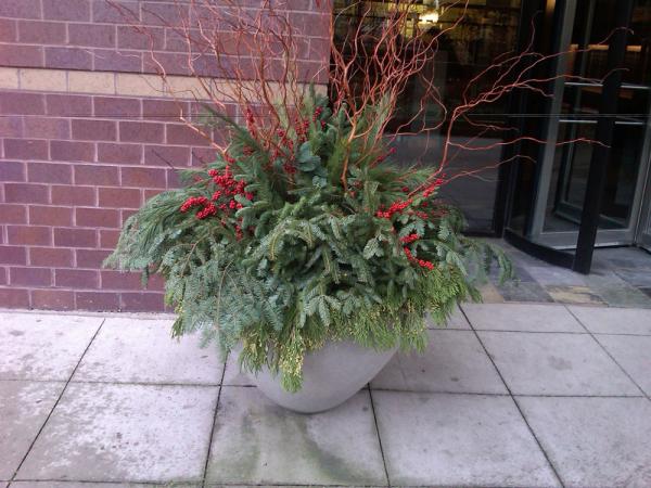 Chicago-20111128-00137