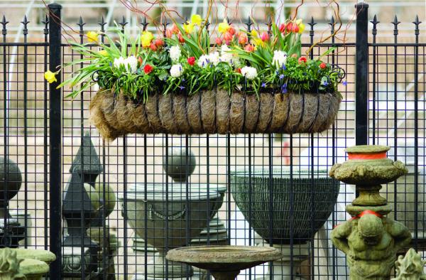 HangBasket 08010 D075